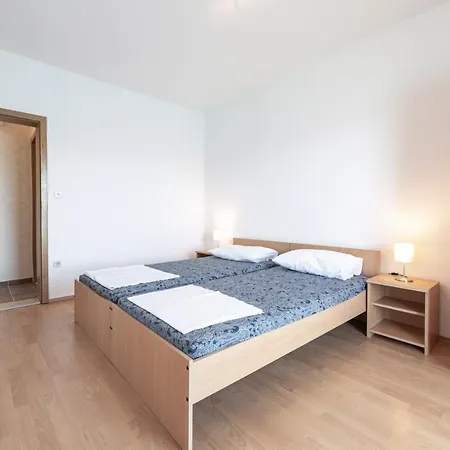 Ivusic Apartament *