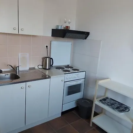 Ivusic Apartament *
